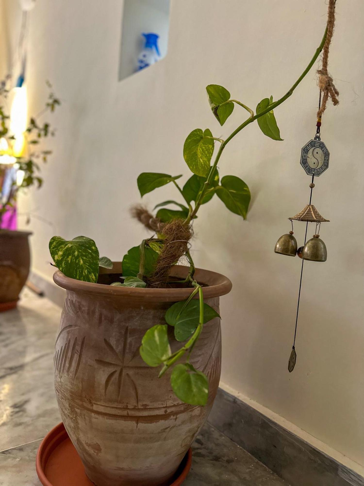 Leela Hatha Rishikesh Exterior photo